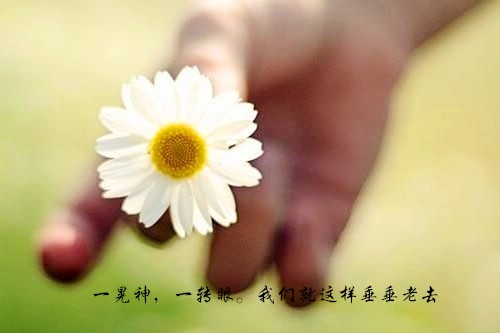 2022年最让男生暖心的话(100句)