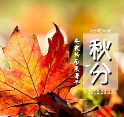 孤独的酒是哪首歌 烟和酒的孤独图片