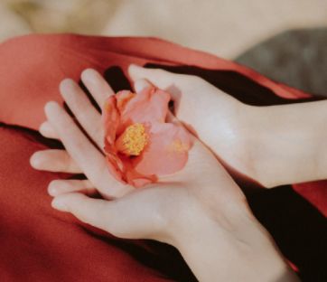 云淡风轻的唯美签名 淡然唯美的好听签名(精选31条)