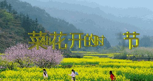 《乐趣文学》的网络编辑高卡