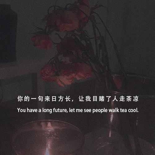 情感句子爱情伤心汇编47句
