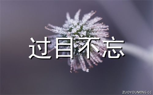 让人过目不忘的网名 独特个性昵称大全(精选200个)