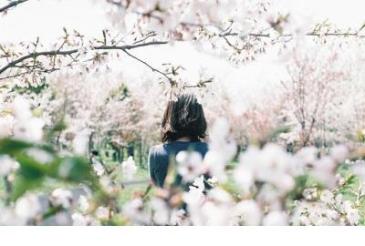 关于中秋节的古诗 中秋节短语说说