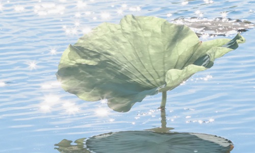 一发就会被秒赞的句子 满满正能量送给你！