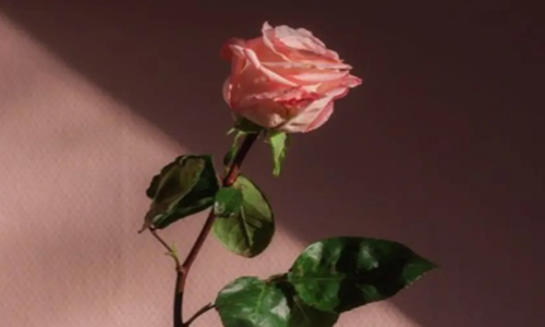 一瞬间情绪崩溃的句子 让人泪崩的文案说说
