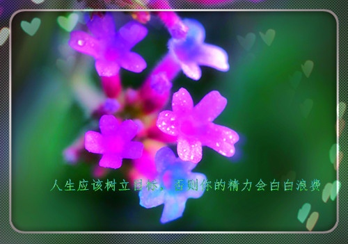 晨语励志分享每日一条 2022年每日分享励志的一句话