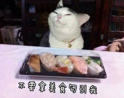 让人喷饭的经典搞笑段子(45句)