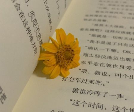 有点难过的酷拽签名最新版 酷酷的签名致自己(精选37条)