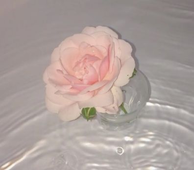 奶凶奶凶可爱女生签名 很软萌的个性签名大全(精选56条)