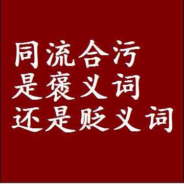 同流合污是褒义词还是贬义词，是批评还是赞美