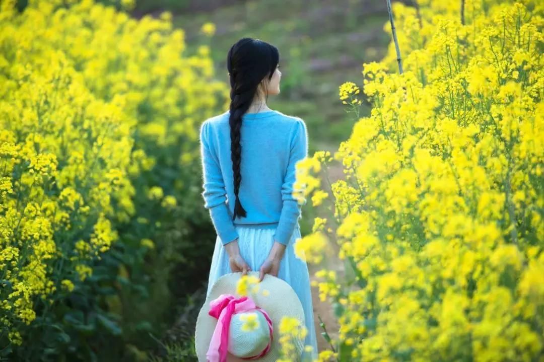 江淳：梦里黄花分外香