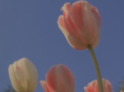 七字个性好听的昵称 七个字好听又难忘的网名(精选54个)