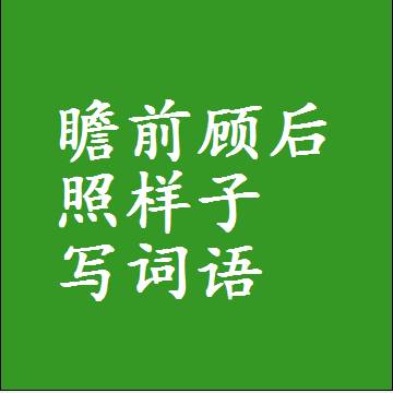 瞻前顾后照样子写词语