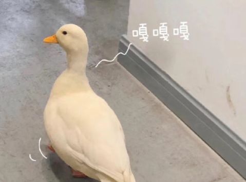 大人过儿童节的有趣说说大全 成人过六一的幽默说说2021