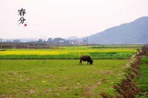 女生霸气的个性签名 搞笑霸气的句子