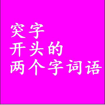 突字开头的两个字词语，第一个字是突的2二字组词大全