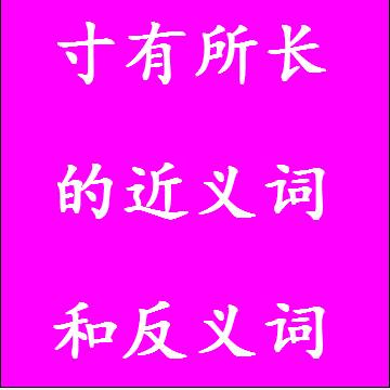 寸有所长的近义词和反义词，意思相同和不一样的成语