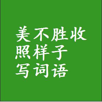 美不胜收照样子写词语