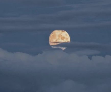 很稀有的男生好听的二字昵称 男生网名简约有意思二字好听 很稀有的男生好听的二字昵称 男生网名简约有意思二字好听