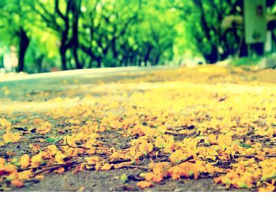 疫情下感人的瞬间有感 武汉疫情感人瞬间照片
