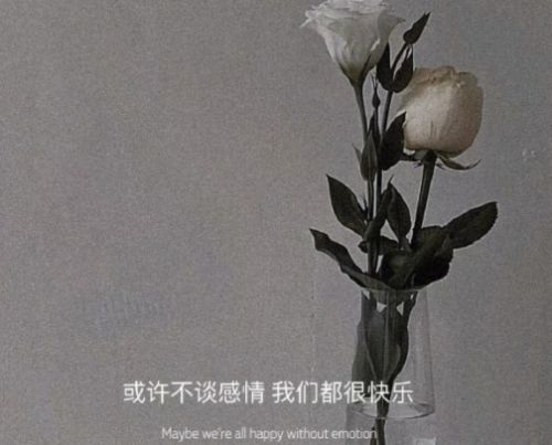 给前女友的个性昵称 给前女友伤感的备注推荐54句