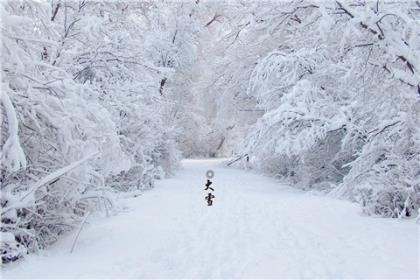 雪景说说心情图片大全