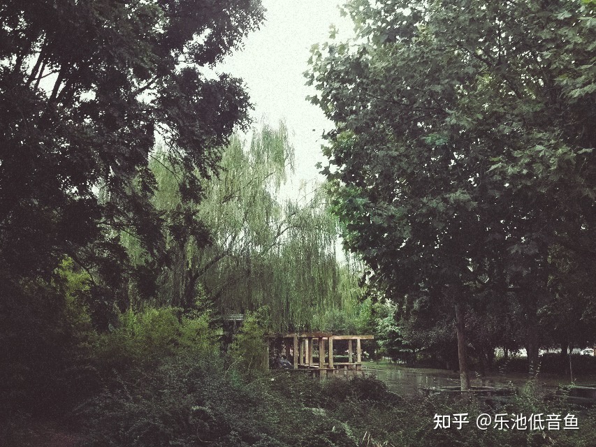 修长的莎莎