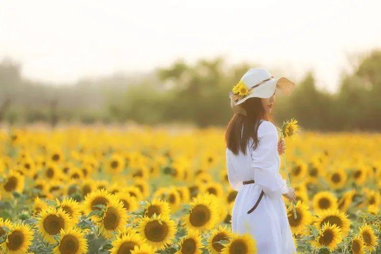 夏日神仙短句带图片 盛夏微信句子大全