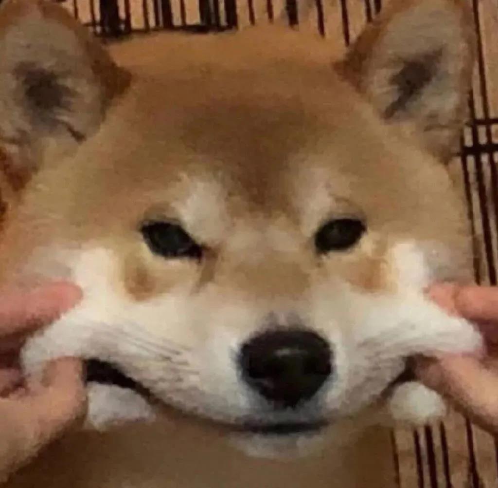 可爱到冒泡的句子