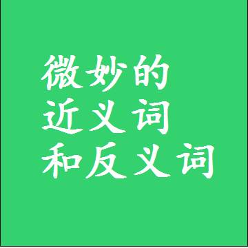 微妙的近义词和反义词，意思相同和不同的两个字词语