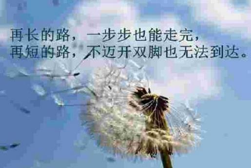 励志生活感悟类的文章 心情说说感悟生活配图