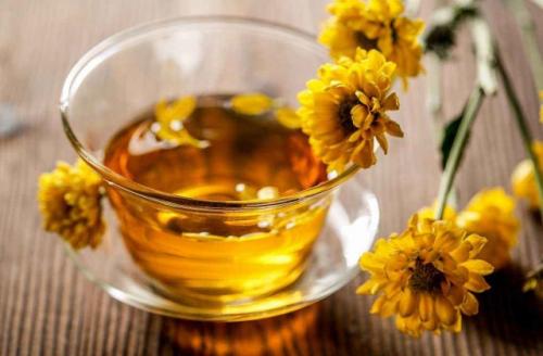 泡菊花茶发朋友圈文字 喝菊花茶的说说发朋友圈摘录21句