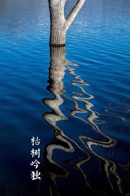 说说励志短语