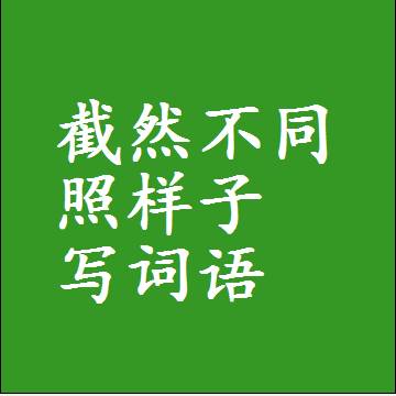 截然不同照样子写词语