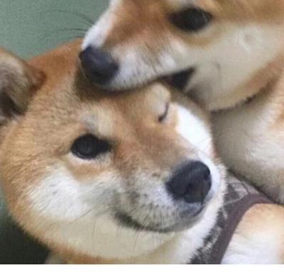 寒冷冬天早安心语