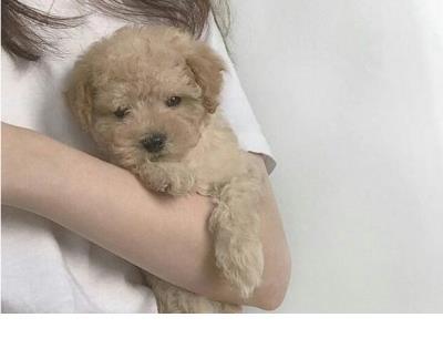 毕业的句子简单