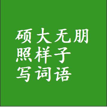 硕大无朋照样子写词语，意思相同结构类似的四字词语