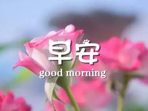 适合说早安的句子 早安心语简单朋友圈晨语说说合集31句