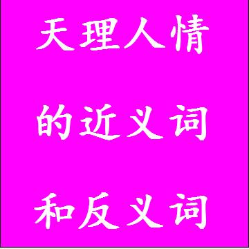 天理人情的近义词和反义词成语