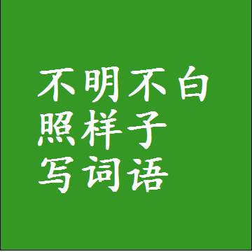 不明不白照样子写词语