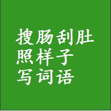 搜肠刮肚照样子写词语，结构一样的成语