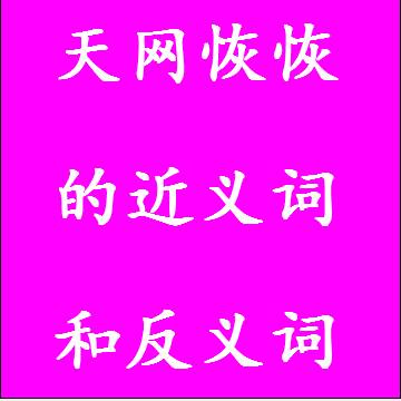 天网恢恢的反义词和近义词