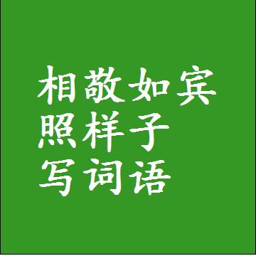 相敬如宾照样子写词语，意思相同结构类似的四字词语