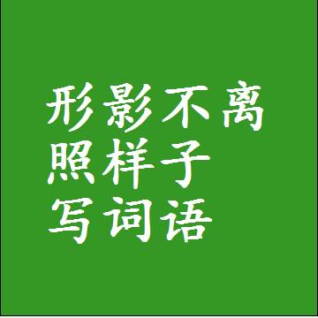 形影不离照样子写词语，结构一样的成语