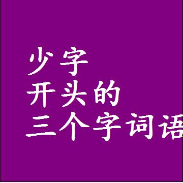 少字开头的三个字词语，第一个字是少的3字组词大全