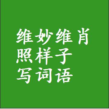 维妙维肖照样子写词语和成语