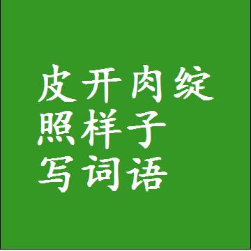 皮开肉绽照样子写词语和成语