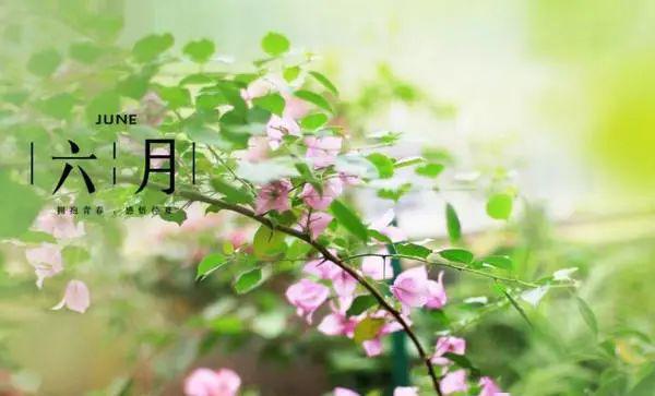 五月即将过去说说 六月你好的句子