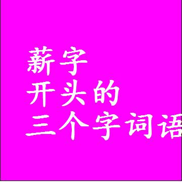 薪字开头的三个字词语，第一个字是薪的3字组词大全