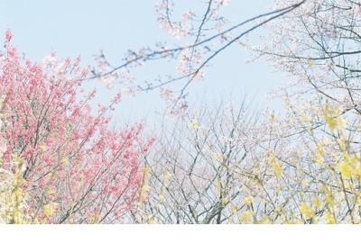 简短精辟的心灵鸡汤 十句适合发朋友圈的精辟哲理句子